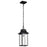 Nuvo Lighting Austen 1 Light Outdoor Hanging Lantern, Black/Water