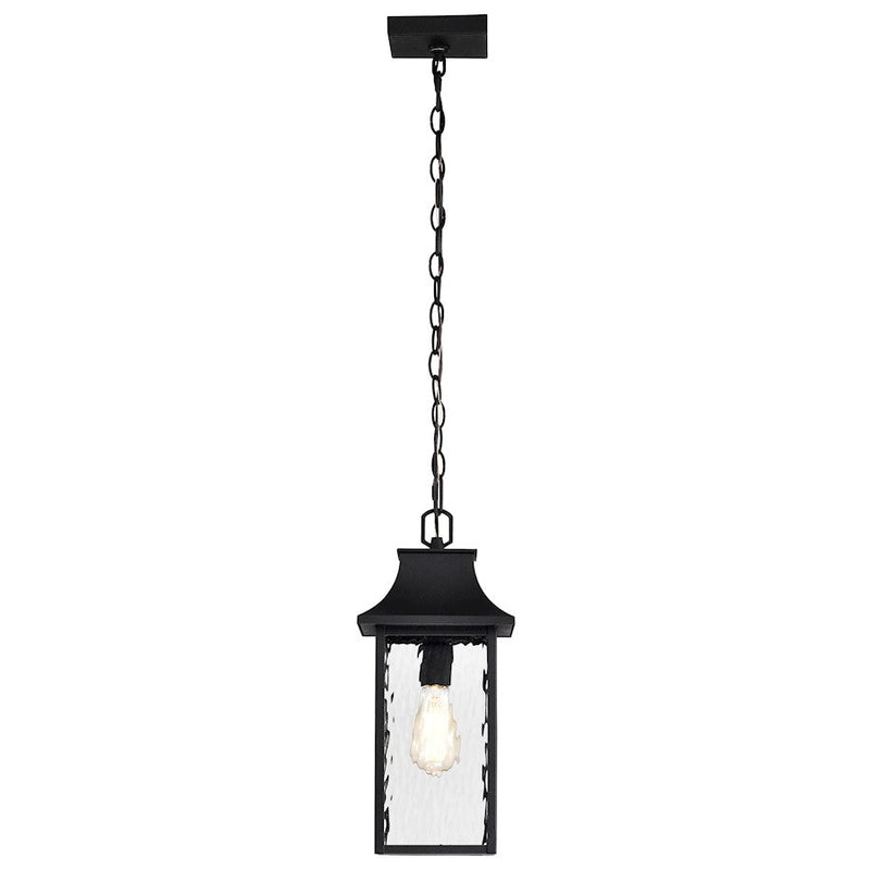 Nuvo Lighting Austen 1 Light Outdoor Hanging Lantern, Black/Water