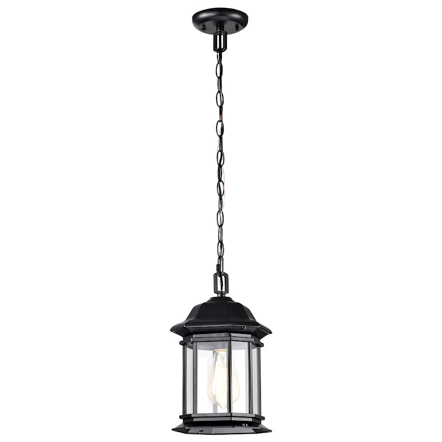 Nuvo Lighting Hopkins 1 Light Outdoor Hanging Lantern, Black/Clear - 60-6117