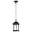 Nuvo Lighting Hopkins 1 Light Outdoor Hanging Lantern, Black/Clear