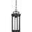 Nuvo Lighting Huron 1 Light Hanging Lantern, Clear Glass, Aged Bronze - 60-6504