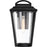 Nuvo Lighting Lakeview 1 Light Medium Wall Lantern, Clear Seed/Bronze - 60-6511