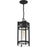 Nuvo Lighting Tofino 1 Light Hanging Lantern, Black/Clear Seeded Glass