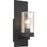 Nuvo Lighting Indie 1 Light Sconce, Black/Clear Seeded Glass