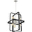 Nuvo Lighting Prana 6 Light Foyer Pendant Fixture