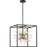 Nuvo Lighting Spirefly 6 Light Pendant, Black and Burnished Brass