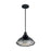 Nuvo Lighting Newbridge 1 Light 12" Pendant, Black/Silver & Black - 60-7004