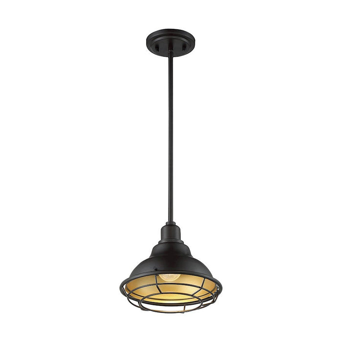 Nuvo Lighting Newbridge 1 Light 10" Pendant, Dark Bronze/Gold - 60-7013