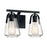 Nuvo Lighting Skybridge 2 Light Vanity, Clear Glass, Matte Black - 60-7102