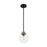 Nuvo Lighting Axis 1 Light Pendant, Clear, Matte Black/Brass Accents - 60-7121