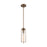 Nuvo Lighting Marina 1 Light Mini Pendant, Clear, Burnished Brass - 60-7150