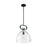 Nuvo Lighting Teresa 1 Light 14" Pendant, Clear Glass, Matte Black - 60-7152