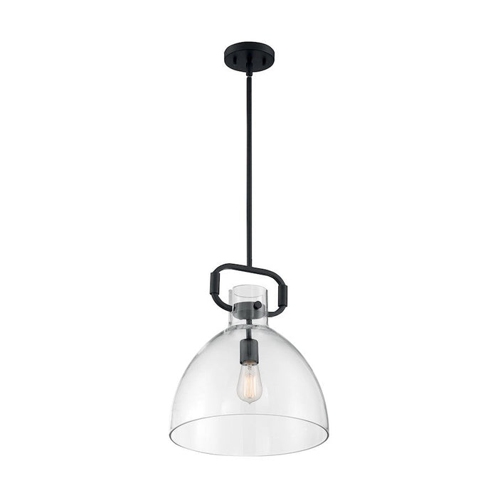 Nuvo Lighting Teresa 1 Light 14" Pendant, Clear Glass, Matte Black - 60-7152