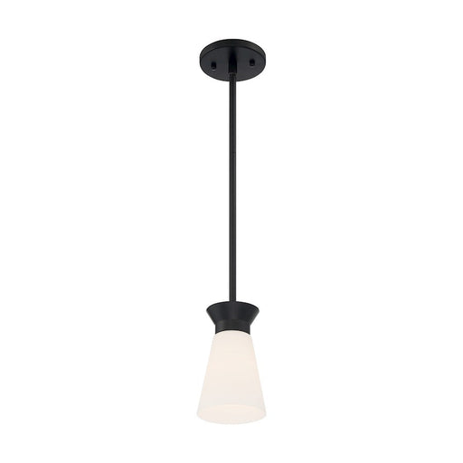 Nuvo Lighting Caleta 1 Light Mini Pendant, Cylindrical Glass, Black - 60-7314