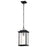 Nuvo Lighting Sullivan 1 Lt Outdoor Hanging Lantern, Black/Seeded - 60-7377