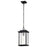 Nuvo Lighting Sullivan 1 Lt Outdoor Hanging Lantern, Black/Seeded