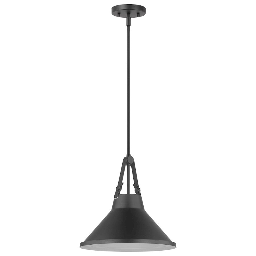 Nuvo Lighting Zelda 1 Light Pendant/Med. Base/60W, Black/Black Metal - 60-7645