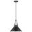 Nuvo Lighting Zelda 1 Light Pendant/Med. Base/60W, Black