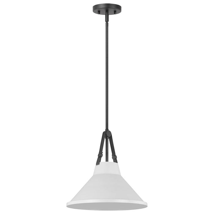 Nuvo Lighting Zelda 1 Light Pendant/Med. Base/60W, Black/White Metal - 60-7647