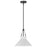 Nuvo Lighting Zelda 1 Light Pendant/Med. Base/60W, Black