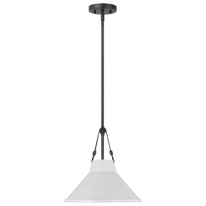 Nuvo Lighting Zelda 1 Light Pendant/Med. Base/60W, Black