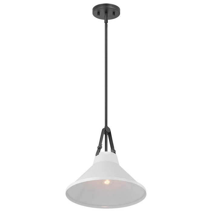 Nuvo Lighting Zelda 1 Light Pendant/Med. Base/60W, Black