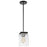 Nuvo Lighting Crossroads 1 Light Mini Pendant, Black/Clear - 60-7650