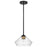 Nuvo Lighting Starlight 1 Lt Mini Pendant/60W, Black/Brass/Seed - 60-7682