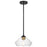 Nuvo Lighting Starlight 1 Lt Mini Pendant/60W, Black/Brass/Seed