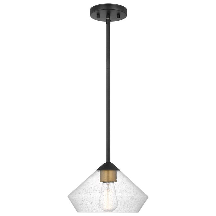 Nuvo Lighting Starlight 1 Lt Mini Pendant/60W, Black/Brass/Seed