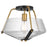 Nuvo Lighting Starlight Semi Flush Mount/60W, Black/Brass/Seed