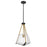 Nuvo Lighting Starlight 1 Lt Foyer Pendant/60W, Black/Brass/Seed - 60-7687