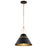 Nuvo Lighting Adina 1 Light Pendant