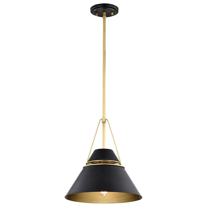 Nuvo Lighting Adina 1 Light Pendant