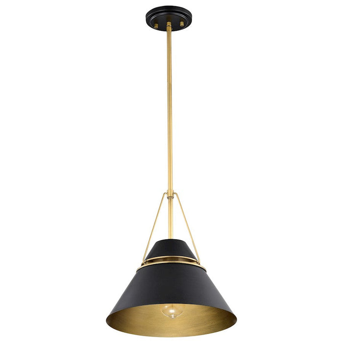 Nuvo Lighting Adina 1 Light Pendant