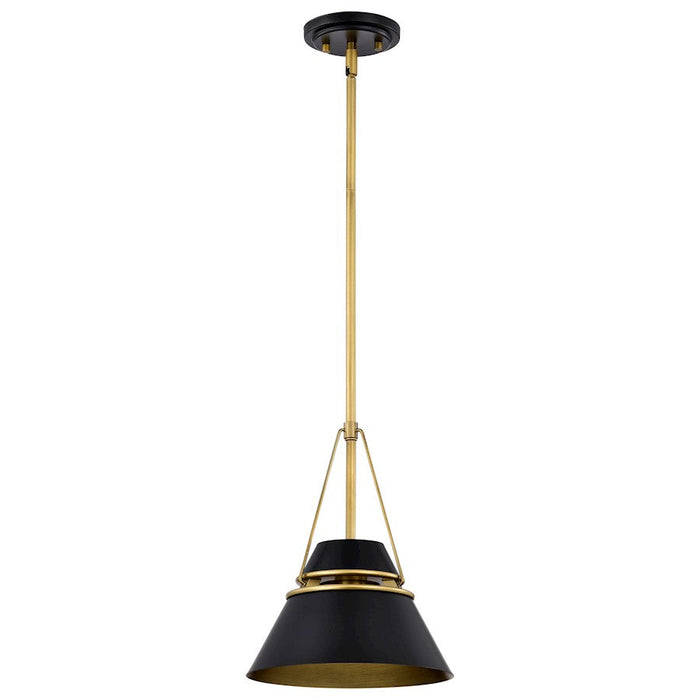 Nuvo Lighting Adina 1 Light Small Pendant, Matte Black/Natural Brass - 60-7767