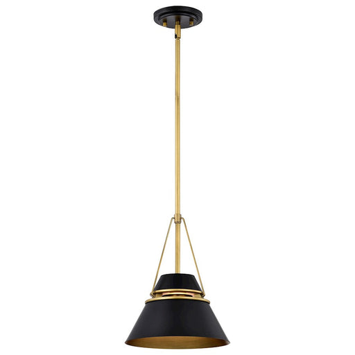 Nuvo Lighting Adina 1 Light Pendant