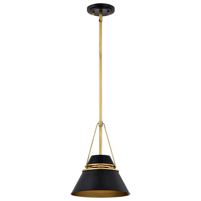 Nuvo Lighting Adina 1 Light Pendant