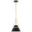 Nuvo Lighting Adina 1 Light Pendant