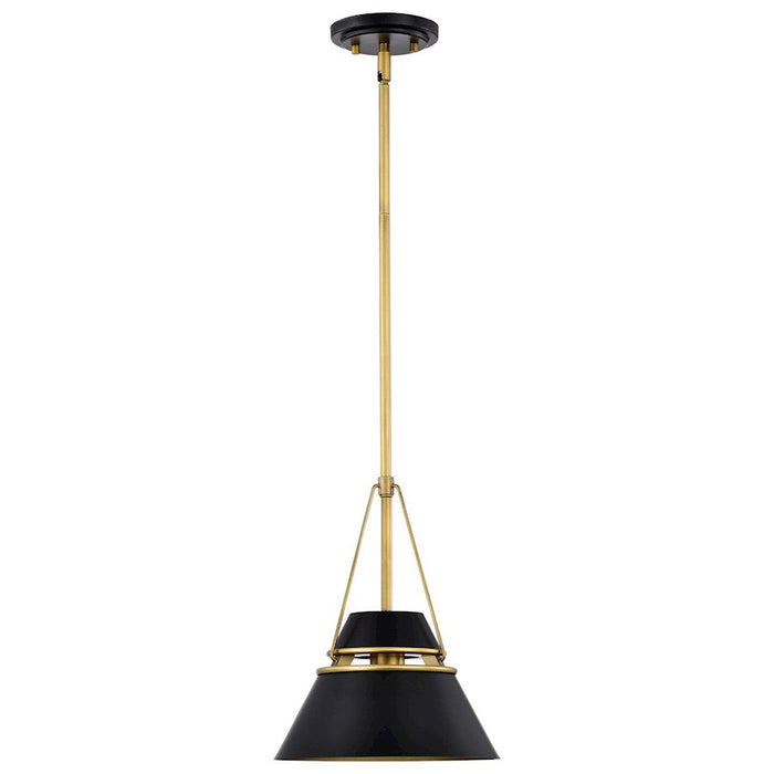 Nuvo Lighting Adina 1 Light Pendant