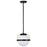 Nuvo Lighting Lakeshore 1 Light Pendant