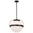 Nuvo Lighting Lakeshore 1 Light Pendant