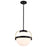 Nuvo Lighting Lakeshore 1 Light Pendant