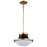 Nuvo Lighting Lafayette 1 Light 14" Pendant, Black/Brass/White Opal - 60-7907