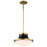 Nuvo Lighting Lafayette 1 Light Pendant