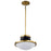 Nuvo Lighting Lafayette 1 Light Pendant