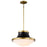 Nuvo Lighting Lafayette 1 Light Pendant