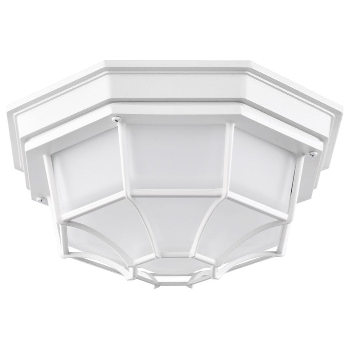 Nuvo Lighting LED Spider Cage, White/Frosted Glass - 62-1399