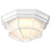 Nuvo Lighting LED Spider Cage, Frosted Glass