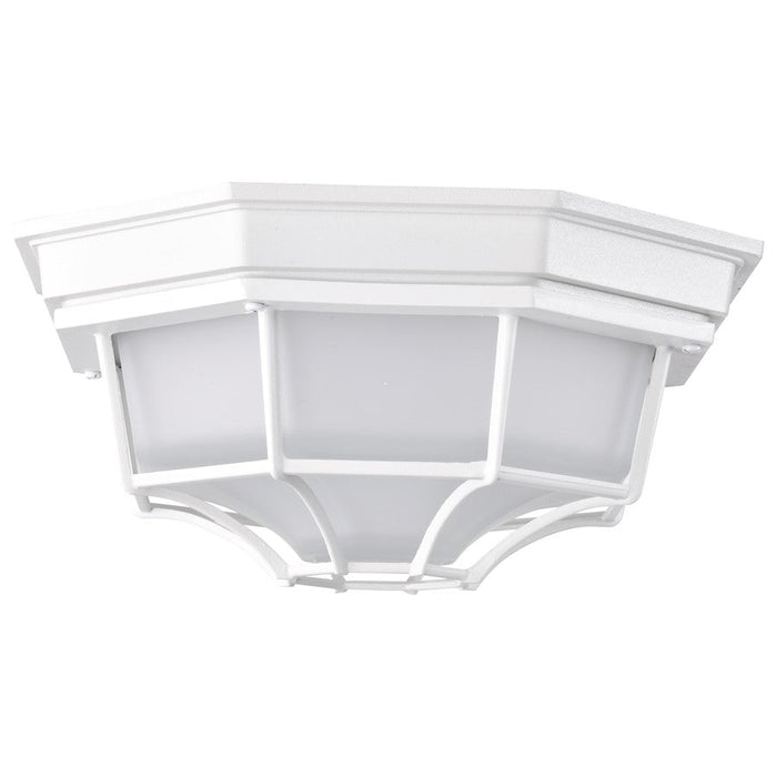 Nuvo Lighting LED Spider Cage, Frosted Glass